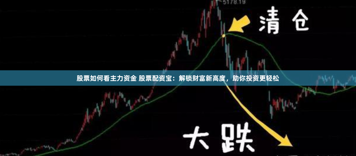 股票如何看主力资金 股票配资宝：解锁财富新高度，助你投资更轻松