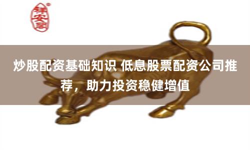 炒股配资基础知识 低息股票配资公司推荐,助力投资稳健增值