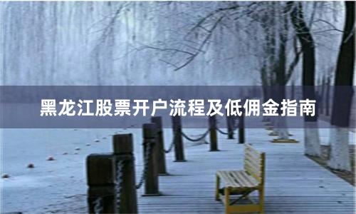 黑龙江股票开户流程及低佣金指南