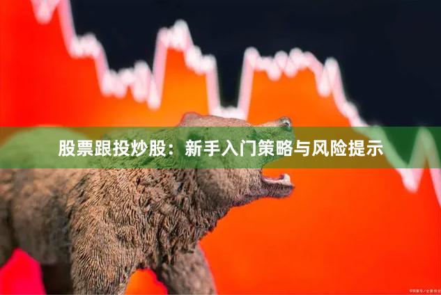 股票跟投炒股：新手入门策略与风险提示